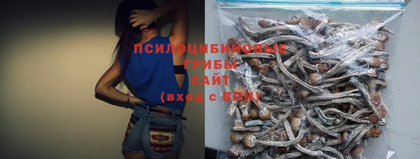 молекула духа Алексин