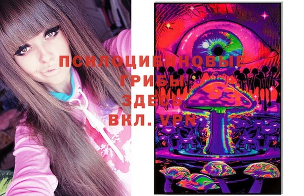 молекула духа Алексин