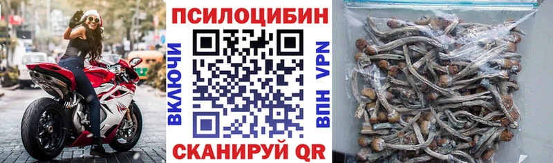 это наркотические препараты  Пролетарск  Псилоцибиновые грибы GOLDEN TEACHER 